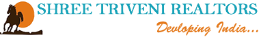Triveni Realtors Logo